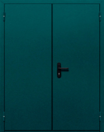 Фото двери «Двупольная глухая №36» в Пушкино