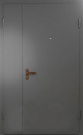 Фото двери «Техническая дверь №6 полуторная» в Пушкино